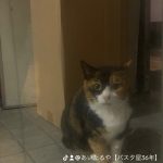 成功は○○に比例する