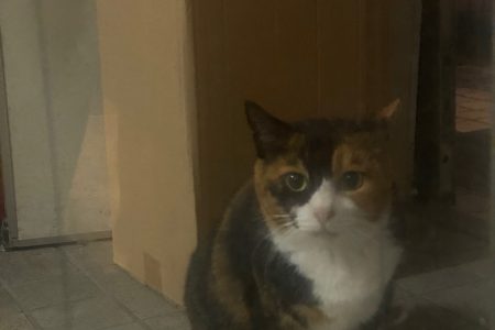成功は○○に比例する